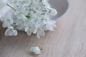 Allestimento cena in bianco a Monza 10